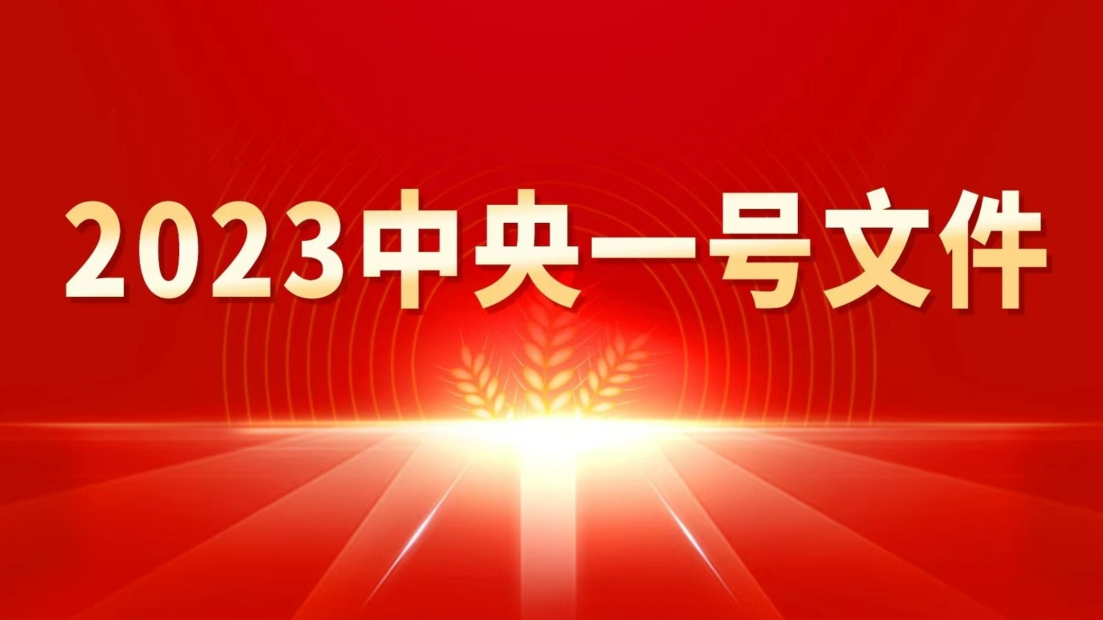 立足国情农情加快建设农业强国