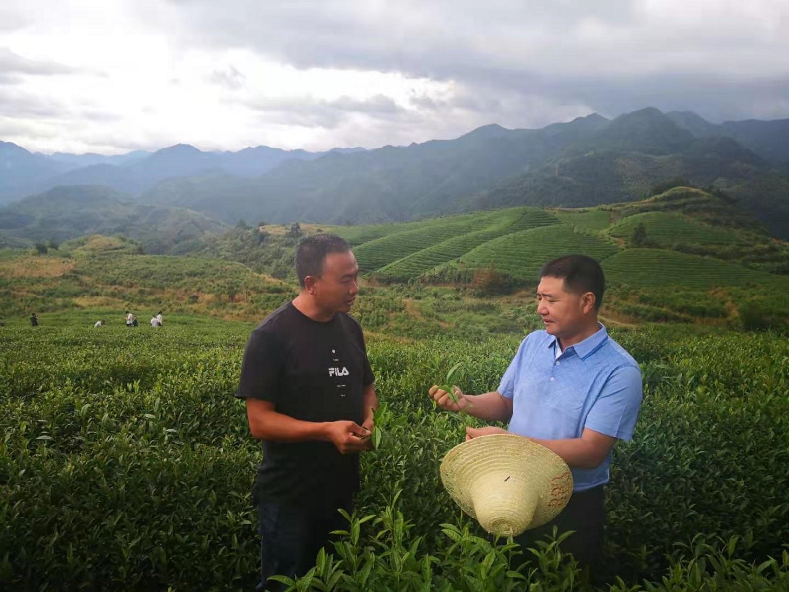 俞学文正在介绍自家茶厂.jpg