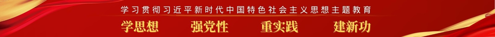 学习贯彻习近平新时代中国特色社会主义思想主题教育